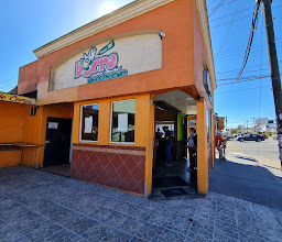 El Burro Percheron photo