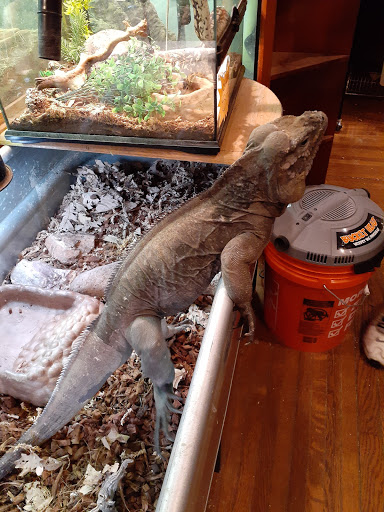 Reptile Store «Pets & Things», reviews and photos, 44825 Van Dyke, Utica, MI 48317, USA