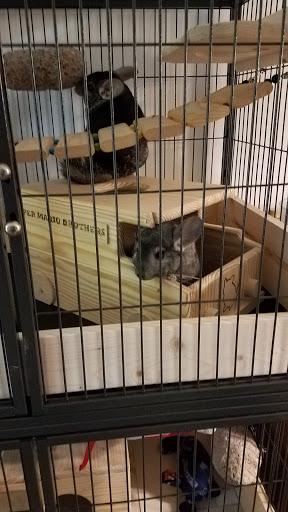 Pet Supply Store «PetSmart», reviews and photos, 9 Highland Common E, Hudson, MA 01749, USA