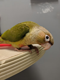 Martin's Paw Mart - Photo 5 - Car repair in Elkhart, IN, Elkhart