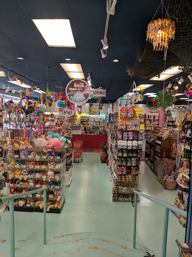 Toy Store «Terra Toys», reviews and photos, 2438 W Anderson Ln, Austin, TX 78757, USA