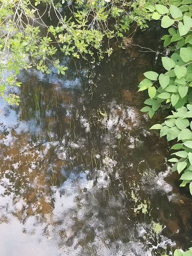 Park «Balfour Riverwalk Park», reviews and photos, 74 N Main St, Attleboro, MA 02703, USA