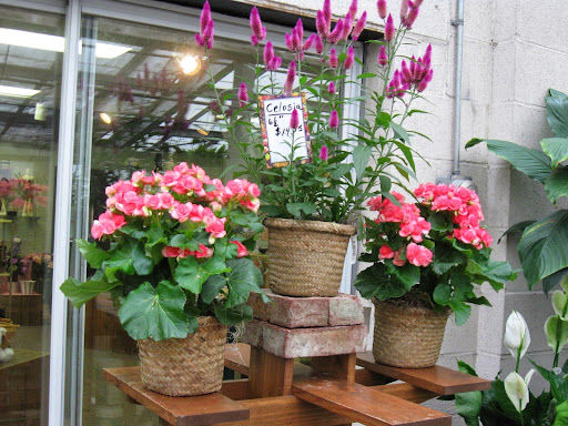 Florist «Dick Adgate Florist», reviews and photos, 2300 Elm Rd NE, Warren, OH 44483, USA