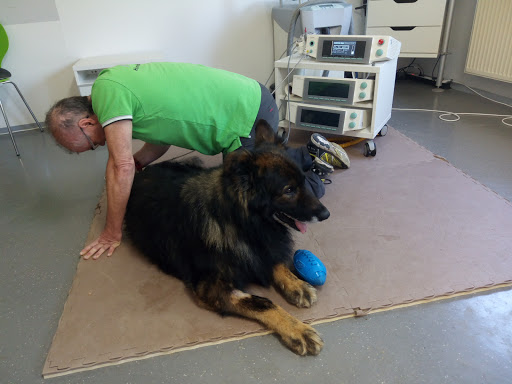 Tim Gramlich reha-pet.de Hundephysiotherapie unter Uhingen, 