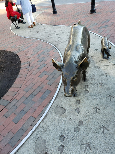 Gift Shop «Duncan and York Modern Market», reviews and photos, 33 N Lexington Ave, Asheville, NC 28801, USA