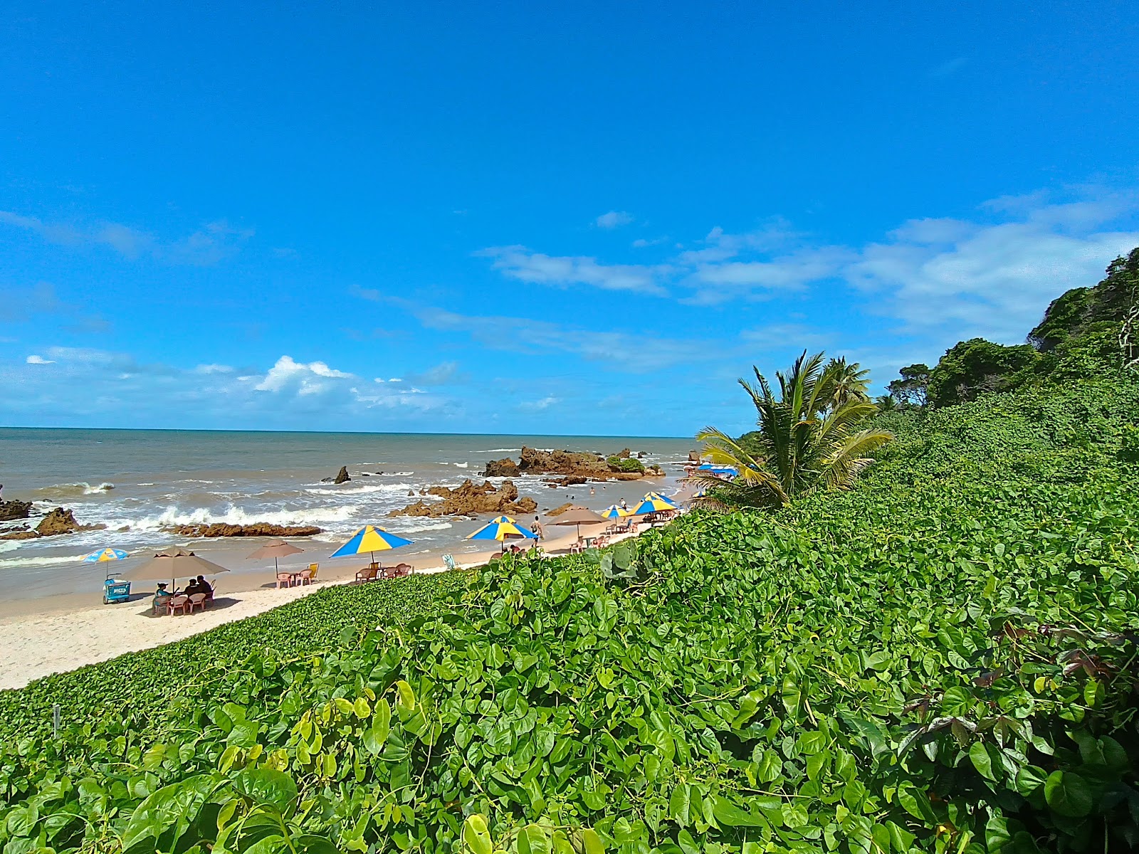 Praia Naturista de Tambaba photo #8