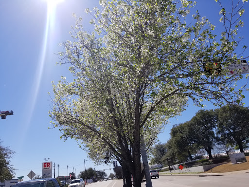 Modern Art Museum «Modern Art Museum of Fort Worth», reviews and photos, 3200 Darnell St, Fort Worth, TX 76107, USA