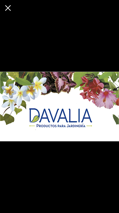 DAVALIA - Productos para Jardinería
