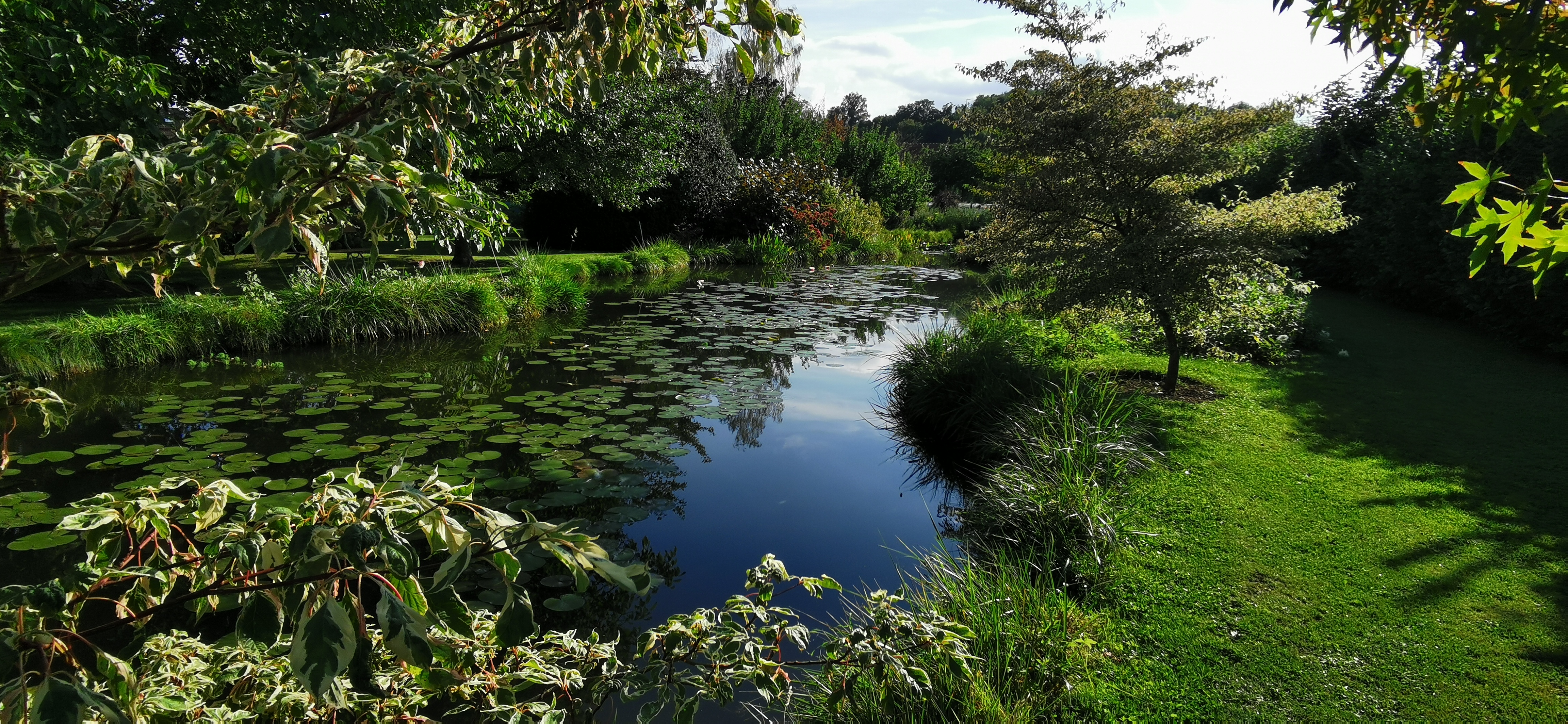 Photo n° 15 de l'avis de Olivier.i fait le 21/09/2021 à 14:07