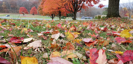 Catholic Church «World Apostolate of Fatima», reviews and photos, 674 Mountain View Rd E, Asbury, NJ 08802, USA