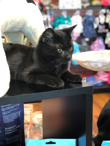 Pet Supply Store «Pet Valu», reviews and photos, 1605 E Michigan Rd, Shelbyville, IN 46176, USA