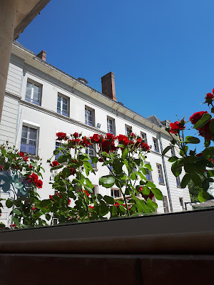 DOMAINE DU CHATEAU BREUL à Saint-Martin-d'Ablois