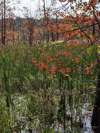 Park «Hillside Park», reviews and photos, 146 Lake Iliff Rd, Newton, NJ 07860, USA