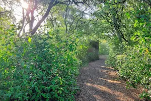 Monsanto Ecological Park image