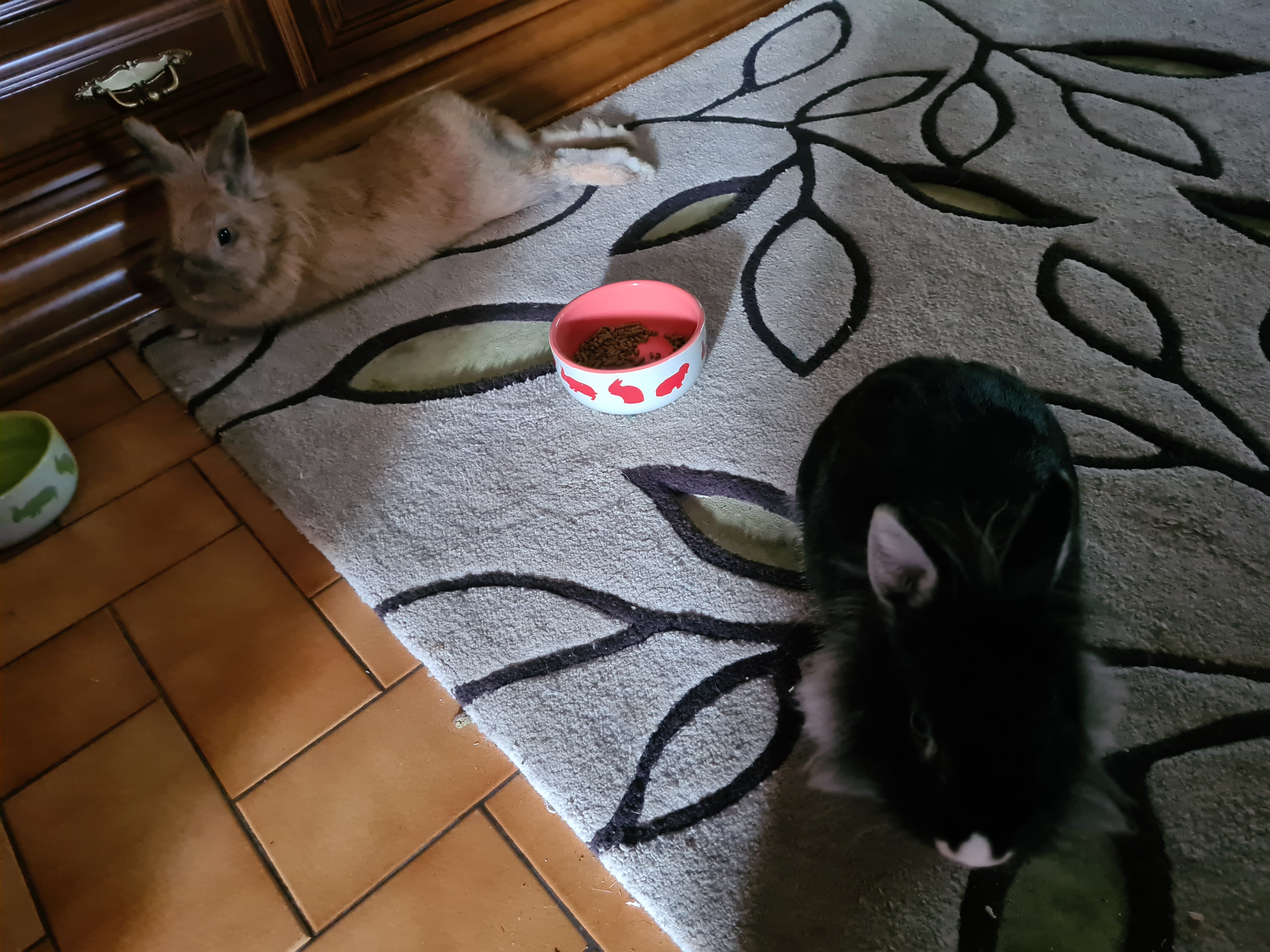 Photo n° 2 de l'avis de Manon.e fait le 07/08/2021 à 15:12