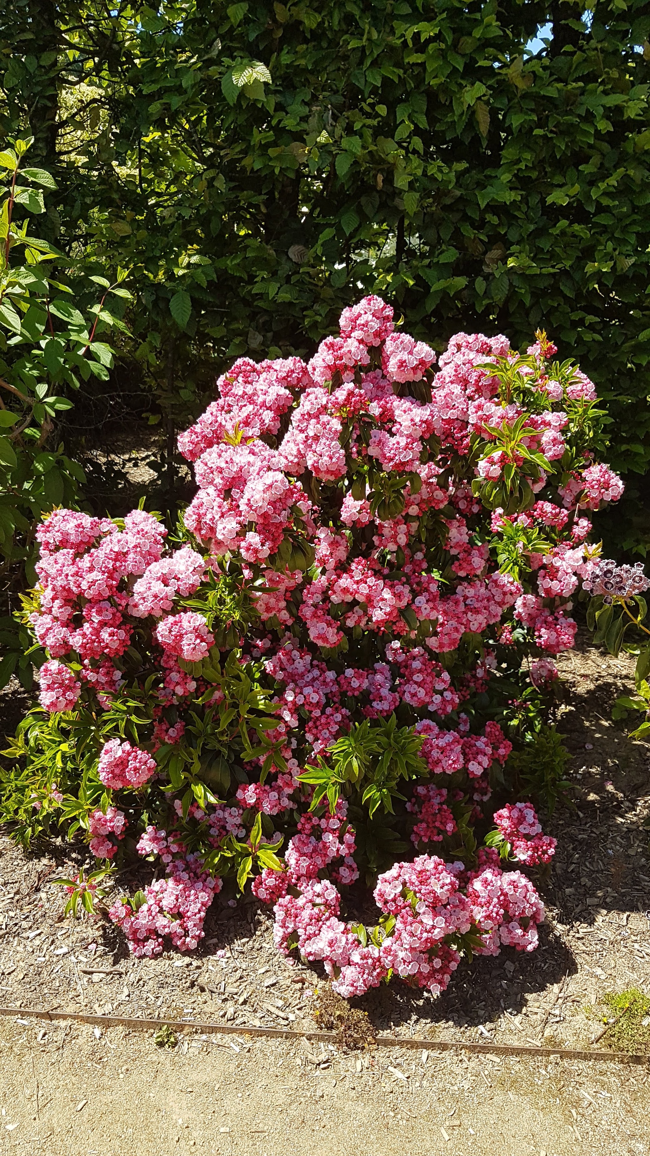 Photo n° 14 de l'avis de Daniel.r fait le 29/05/2020 à 14:41