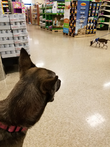 Pet Supply Store «PetSmart», reviews and photos, 534 US-441, Lady Lake, FL 32159, USA