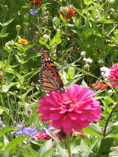 Park «Eastern Regional Park», reviews and photos, 11723 Eastern Ave, Middle River, MD 21220, USA