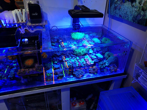 Pet Supply Store «New Wave Aquaria», reviews and photos, 14100 23rd Ave N, Minneapolis, MN 55447, USA