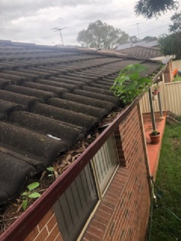 Gutter Cleaning Services In Sydney | Clean Gutter Clean