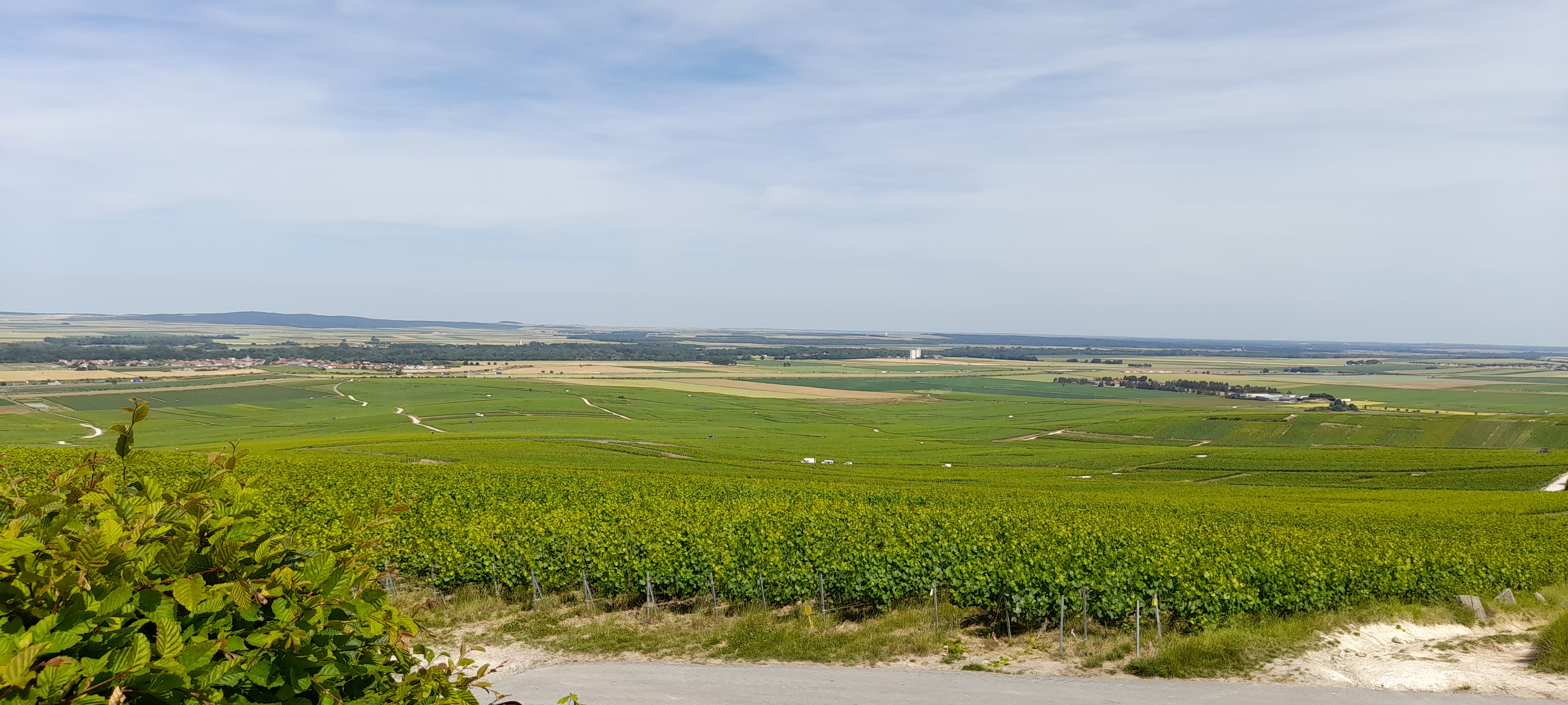 Photo n° 2 de l'avis de D. fait le 17/06/2022 à 17:29