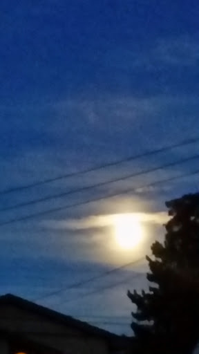 Boat Dealer «Toms River Marine & Motorsports», reviews and photos, 3117 NJ-37, Toms River, NJ 08753, USA