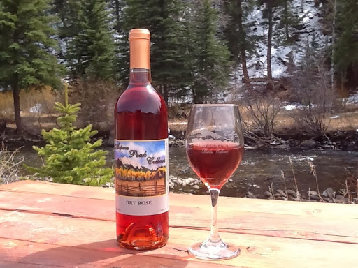 Winery «Aspen Peak Cellars», reviews and photos, 60750 US-285, Bailey, CO 80421, USA