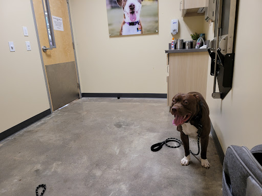 Pet Supply Store «Petco Animal Supplies», reviews and photos, 6137 Mid Rivers Mall Dr, St Charles, MO 63304, USA