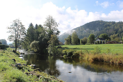 Chalet des sources - Vosges à Ramonchamp