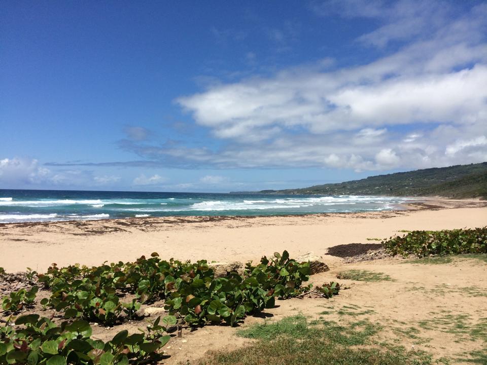 Foto av Bath beach med låg nivå av renlighet