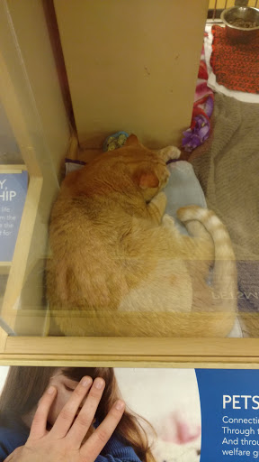 Pet Supply Store «PetSmart», reviews and photos, 4142 Commonwealth Ave, Eau Claire, WI 54701, USA