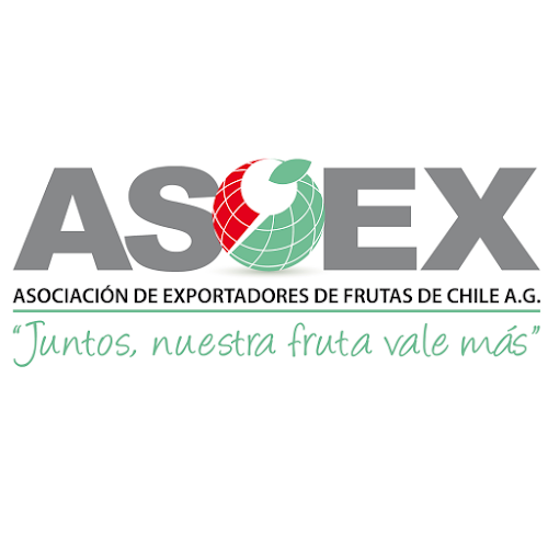 Opiniones de Asociacion de Exportadores de Frutas de Chile A G en Las Condes - Asociación