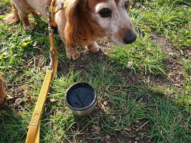 Åbningstider for Taarbæk IF