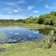 Ollie's Pond Park