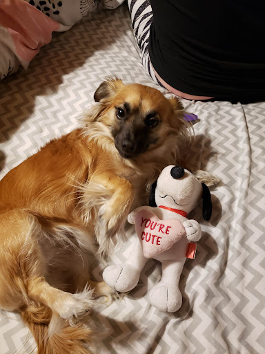 Casino «Ho-Chunk Gaming Nekoosa», reviews and photos, 949 County Rd G, Nekoosa, WI 54457, USA