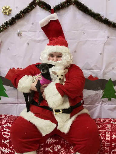 Pet Supply Store «PetSmart», reviews and photos, 13927 New Halls Ferry Road, Florissant, MO 63033, USA