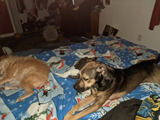 Pet Supply Store «PetSmart», reviews and photos, 278 New Britain Ave, Plainville, CT 06062, USA