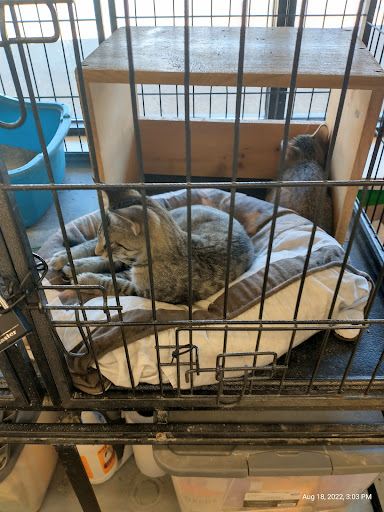 Pet Supply Store «Pet Supplies Plus», reviews and photos, 7315 Mentor Ave, Mentor, OH 44060, USA