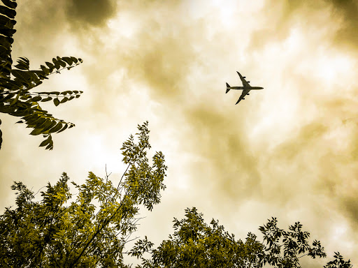 Nature Preserve «Meacham Forest Preserve», reviews and photos, Circle Ave, Bloomingdale, IL 60108, USA