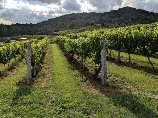 Vineyard «Linville Falls Winery», reviews and photos, 9557 Linville Falls Hwy, Newland, NC 28657, USA