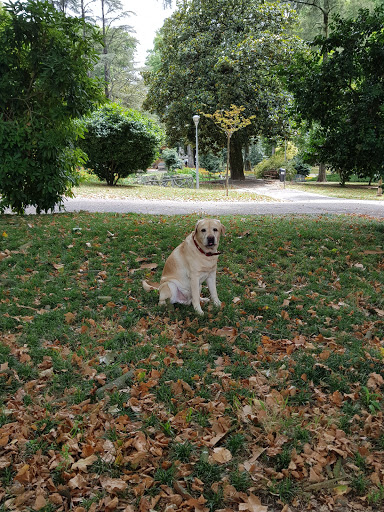 Jardim de Arca d'Água