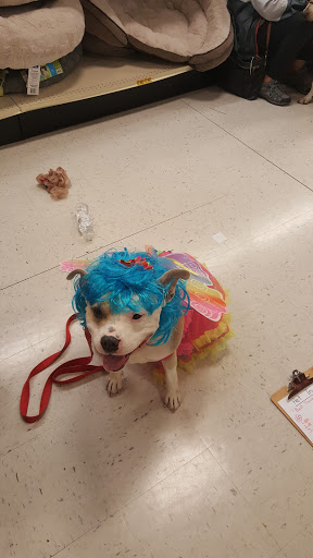 Pet Supply Store «PetSmart», reviews and photos, 1705 N Bechtle Ave, Springfield, OH 45504, USA