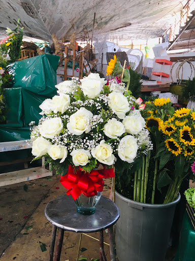 Florería Encanto – Acapulco