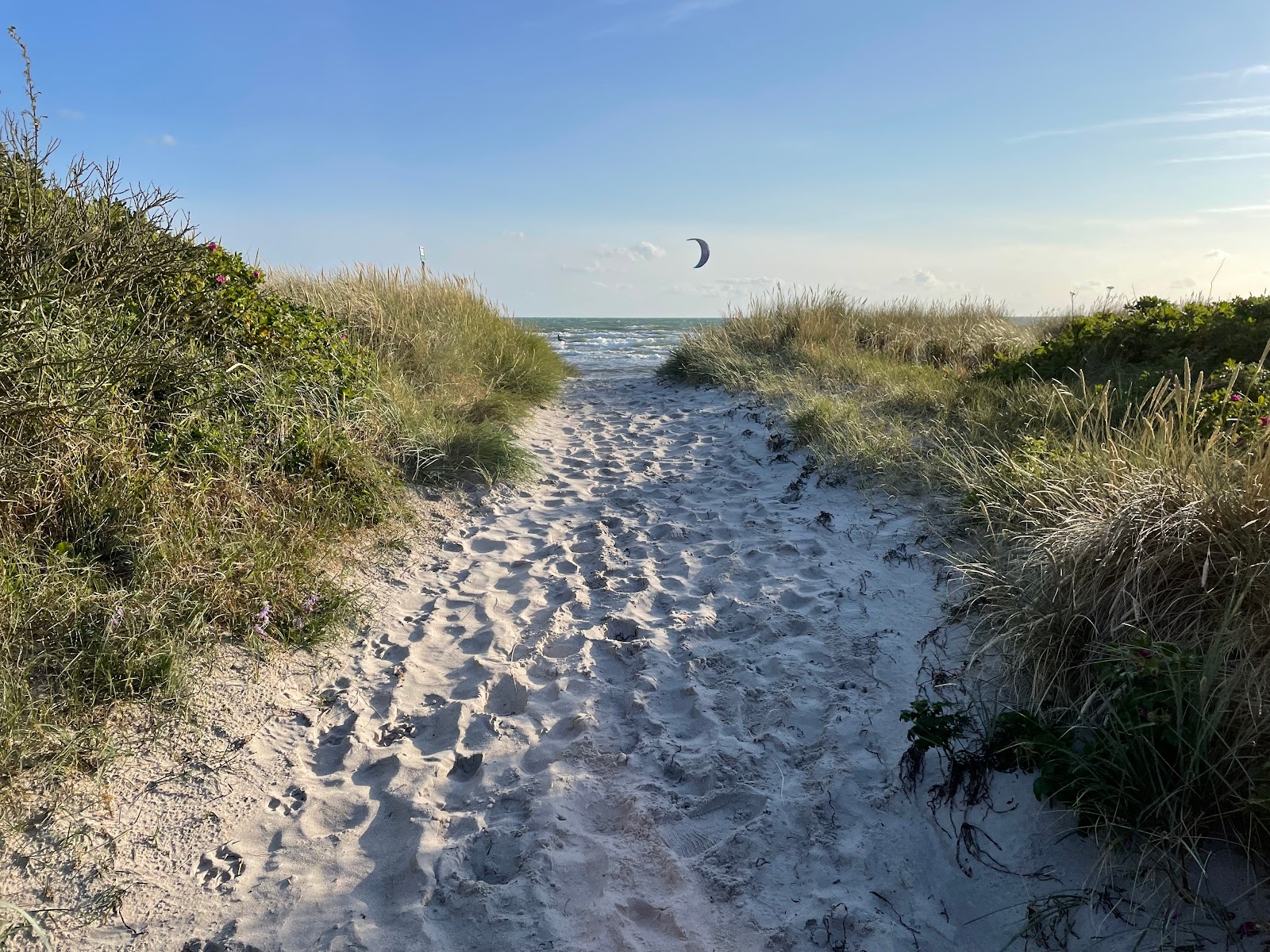 Foto af Bjørnhøj Strand med lang lige kyst