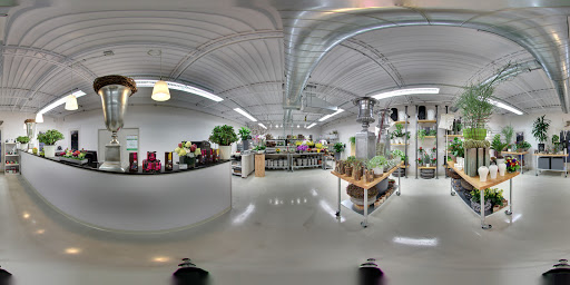 Florist «King florist of Austin», reviews and photos, 1806 W Koenig Ln, Austin, TX 78756, USA