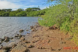ʻAiea Bay State Recreation Area image
