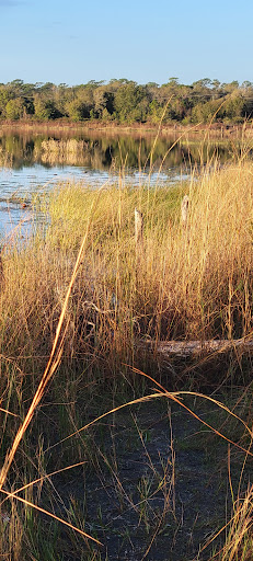 Park «Lake Rogers Park», reviews and photos, 9010 N Mobley Rd, Odessa, FL 33556, USA