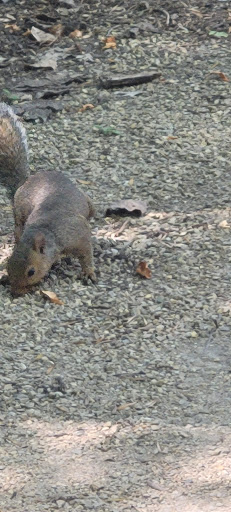 Nature Preserve «Wood Lake Nature Center», reviews and photos, 6710 Lake Shore Dr S, Minneapolis, MN 55423, USA