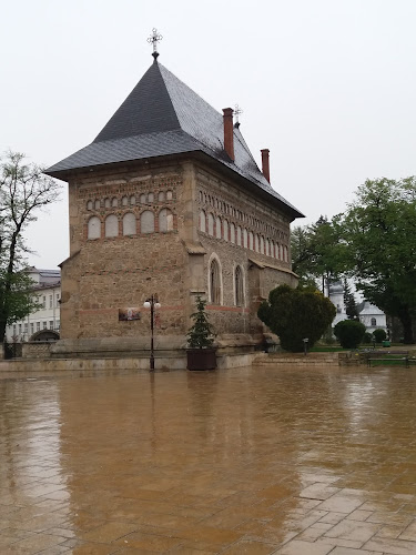 Str. Ștefan cel Mare 6-8, Piatra Neamț, România