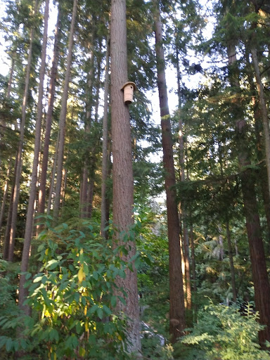 Water Park «Rotary Centennial Water Playground», reviews and photos, 802 E Mukilteo Blvd, Everett, WA 98203, USA